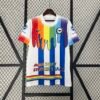 Brighton 24/25 season pre match training uniform (fan version) S-4XL