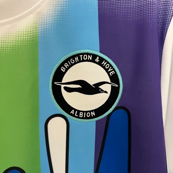 Brighton 24/25 season pre match training uniform (fan version) S-4XL
