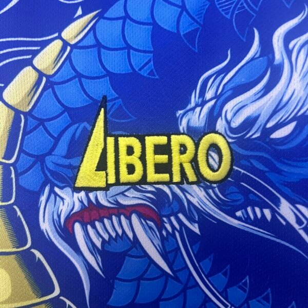 Japan 2024 Special Edition Fan Jersey - S-2XL