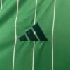 Celtic 24/25 Special Edition jersey (fan version) S-4XL
