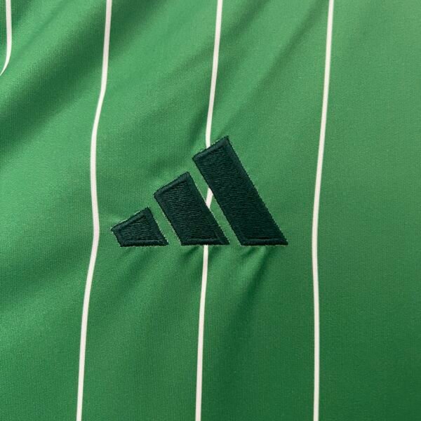 Celtic 24/25 Special Edition jersey (fan version) S-4XL