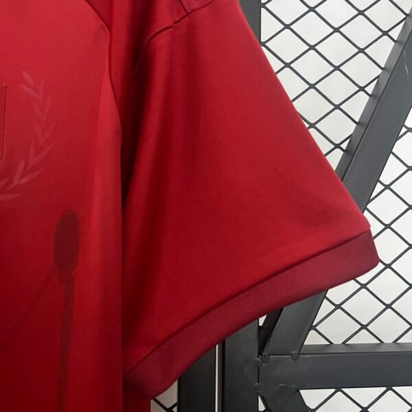 Bayern Munich 24/25 Special Edition jersey (fan version) S-2XL