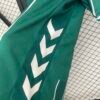 Werder Bremen 25/26 Home Fan Version Jersey - S-2XL