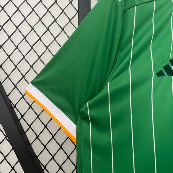 Celtic 24/25 Special Edition jersey (fan version) S-4XL