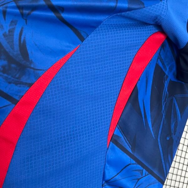 Japan 2024 Special Edition Fan Jersey - S-2XL