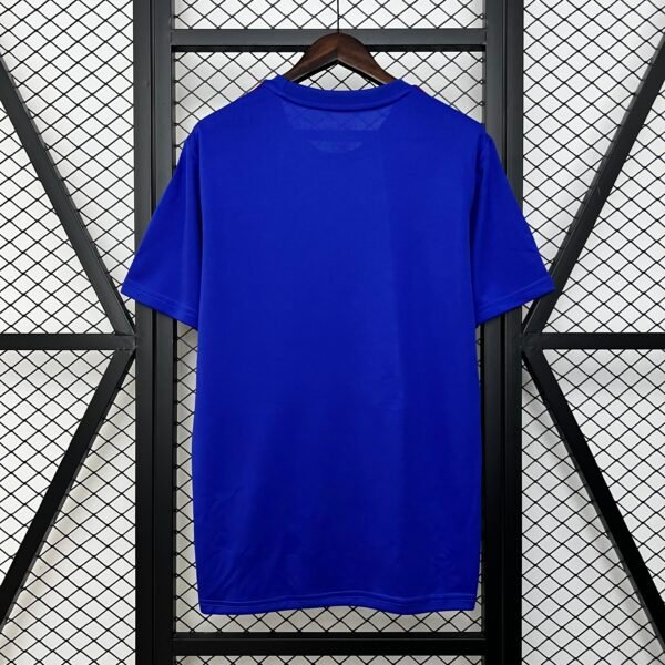 Japan 2024 Special Edition Fan Jersey - S-2XL