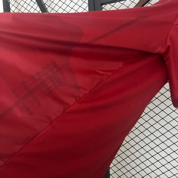 Bayern Munich 24/25 Special Edition jersey (fan version) S-2XL