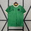 Celtic 24/25 Special Edition jersey (fan version) S-4XL