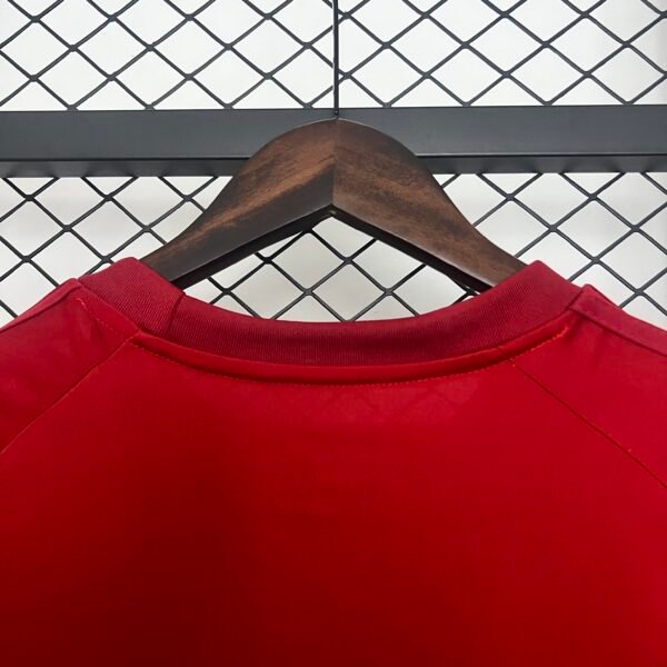 Bayern Munich 24/25 Special Edition jersey (fan version) S-2XL