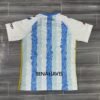 Málaga CF 24/25 Home Fan Version Jersey - S-2XL