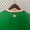 Celtic 24/25 Special Edition jersey (fan version) S-4XL