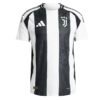 5aa917c38d259daae32536d8bd02f93 Juventus 24/25 Home Player Version Jersey S-2XL