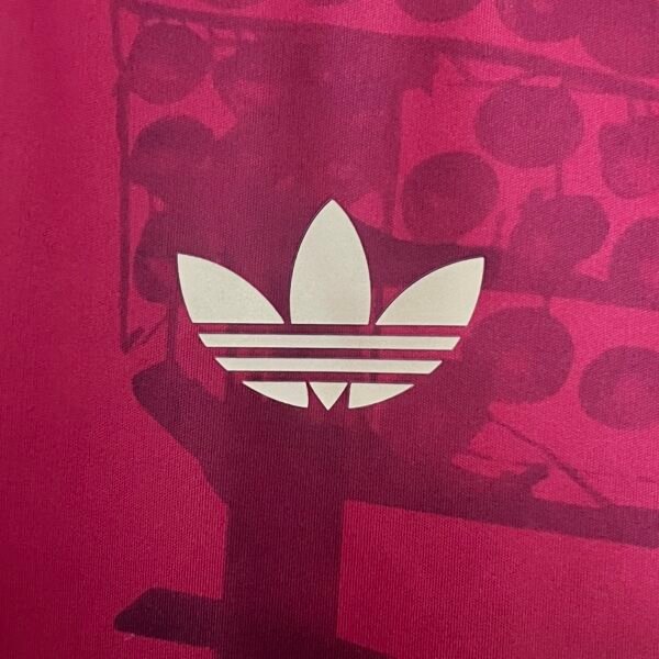 Bayern Munich 24/25 Special Edition jersey (fan version) S-2XL