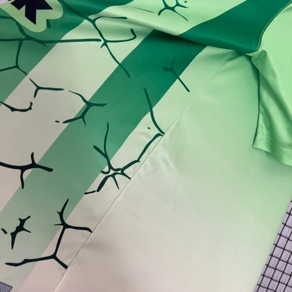 Real Betis 24/25 Special Edition Jersey (Fan Version) S-2XL