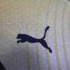 65ee990e Manchester City 24/25 Third away jersey (player version) S-2XL