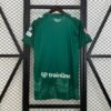 Real Betis 25/26 Special Edition Fan Jersey - S-2XL
