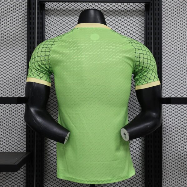 Japan 2024 Special Edition Player Jersey S-2XL