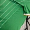 Celtic 24/25 Special Edition jersey (fan version) S-4XL
