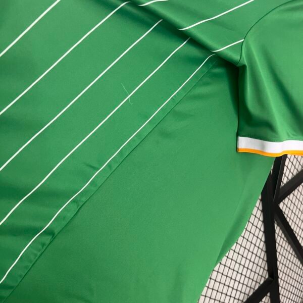 Celtic 24/25 Special Edition jersey (fan version) S-4XL