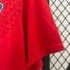LOSC Lille 24/25 Home Jersey (Fan Version) S-2XL