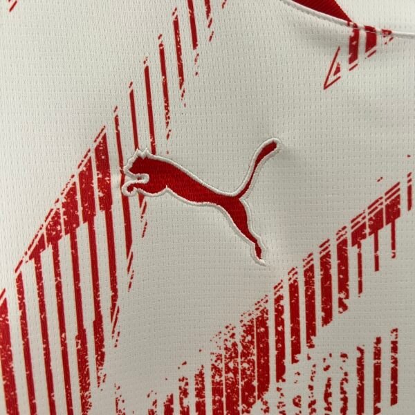 7a45ad85 RB Leipzig 24/25 Home Fan Version Jersey - S-2XL