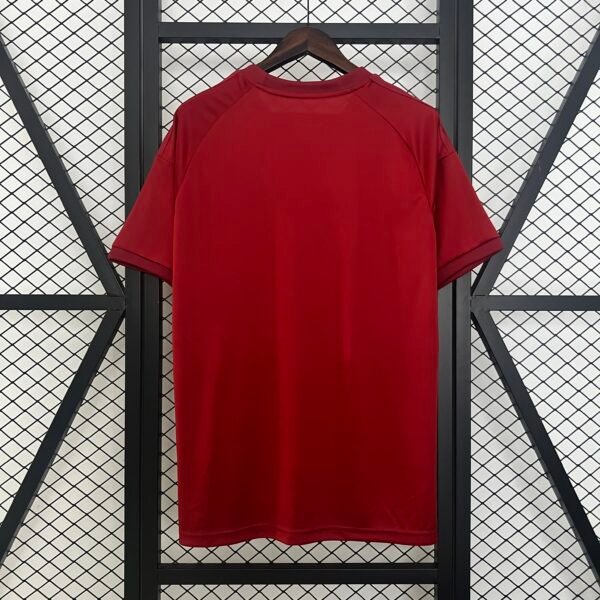 Bayern Munich 24/25 Special Edition jersey (fan version) S-2XL