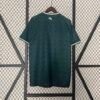 Werder Bremen 24/25 Special Edition Fan Version Jersey - S-2XL