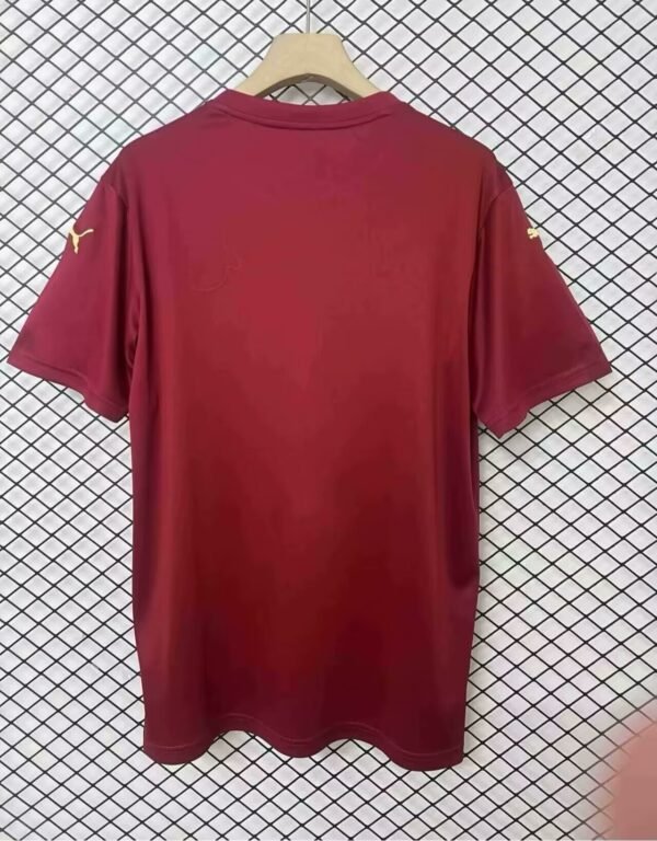 816525a5 RB Leipzig 24/25 Special Edition Fan Version Jersey - S-2XL