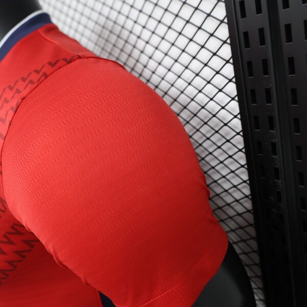 82d81ce3 LOSC Lille 24/25 Home Player Version Jersey - S-2XL