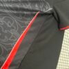 Japan 2024 Special Edition Fan Jersey - S-2XL