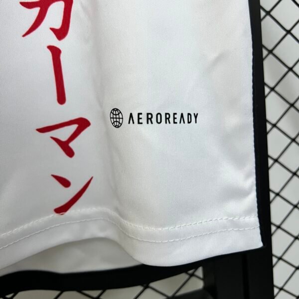 Japan 2024 Special Edition Fan Jersey - S-2XL