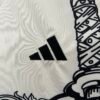 Japan 2024 Special Edition Fan Jersey - S-2XL