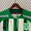 8dd9e1d1 Atlético Nacional 24/25 Home Fan Version Jersey - S-2XL
