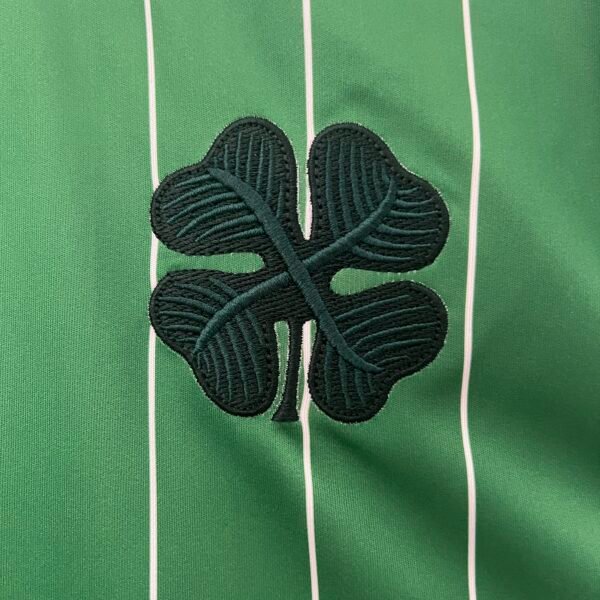 Celtic 24/25 Special Edition jersey (fan version) S-4XL