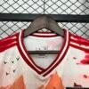 Japan 2024 Special Edition Fan Jersey - S-2XL