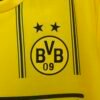 Borussia Dortmund 25/26 Special Edition jersey (fan version) S-4XL