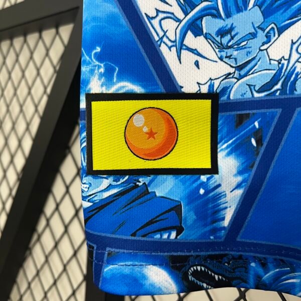 Japan 2024 Special Edition Fan Jersey - S-2XL