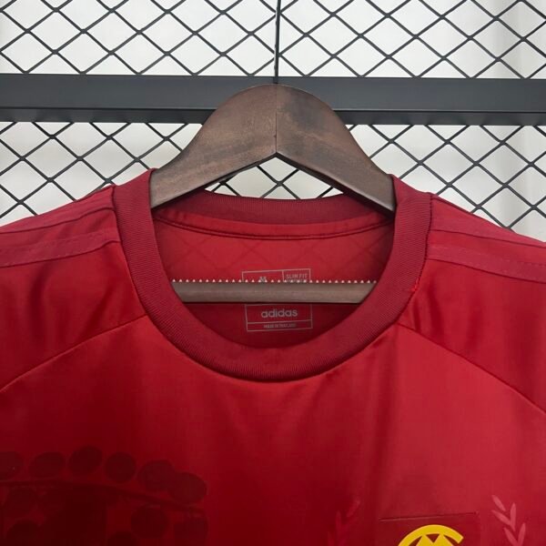 Bayern Munich 24/25 Special Edition jersey (fan version) S-2XL