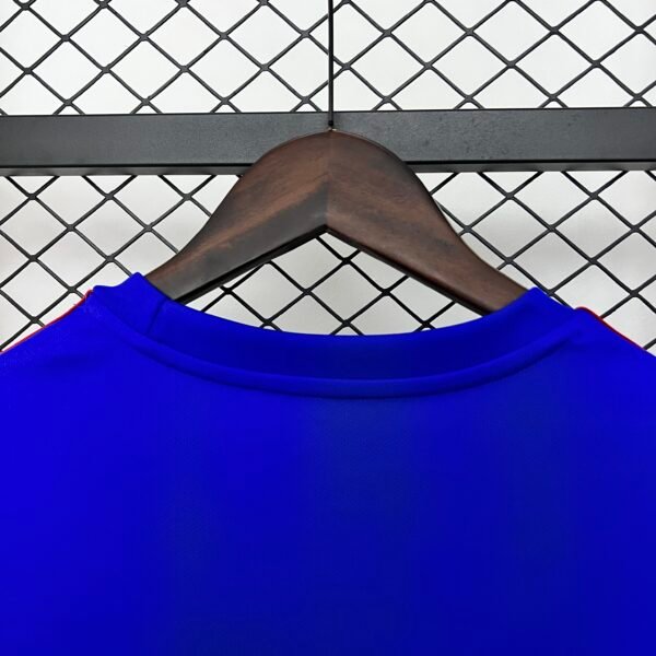 Japan 2024 Special Edition Fan Jersey - S-2XL