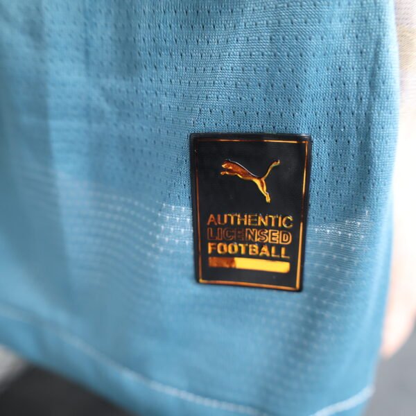 cd5697cd Manchester City 24/25 Third away jersey (player version) S-2XL