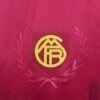 Bayern Munich 24/25 Special Edition jersey (fan version) S-2XL
