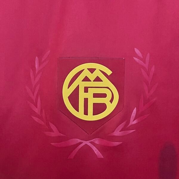 Bayern Munich 24/25 Special Edition jersey (fan version) S-2XL