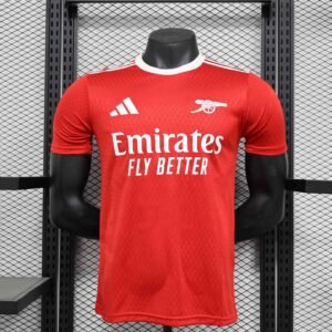 Arsenal 24/25 Special Edition Player Version Jersey - S-2XL