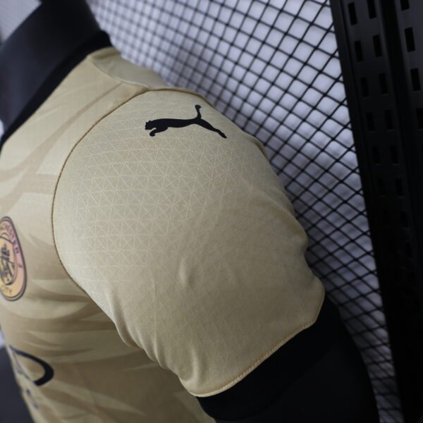 ef4c100a Manchester City 24/25 Special Edition jersey (player version) S-2XL