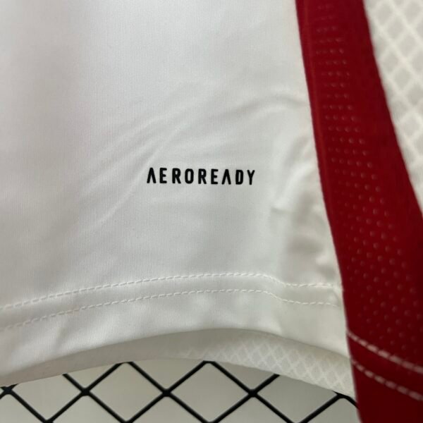 f5128d04 Japan 2024 Special Edition Fan Jersey - S-2XL