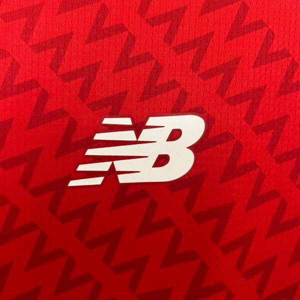 LOSC Lille 24/25 Home Jersey (Fan Version) S-2XL