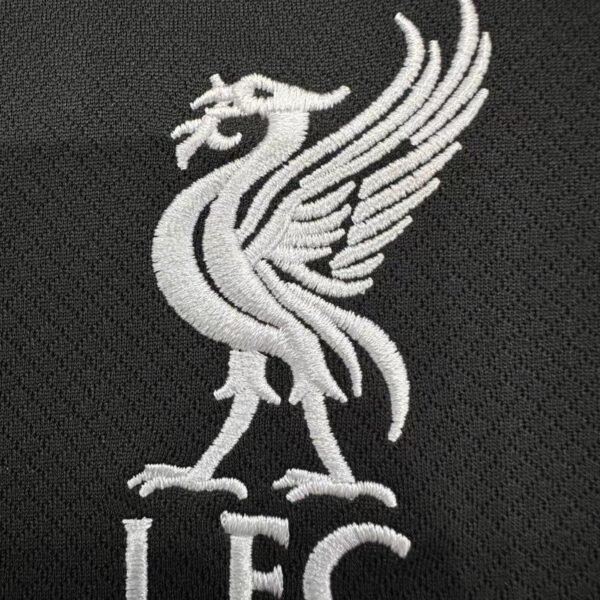 Liverpool 24/25 away jersey (fan version) S-2XL