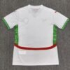 0f9f5ea46826428bca64a5e3889f2e0 Morocco 2025 Away Fan Jersey S-2XL