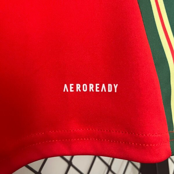 Wales 2024 Home Fan Jersey S-2XL