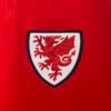 Wales 2024 Home Fan Jersey S-2XL